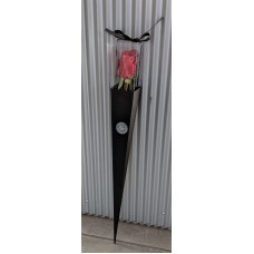 Premium Single rose