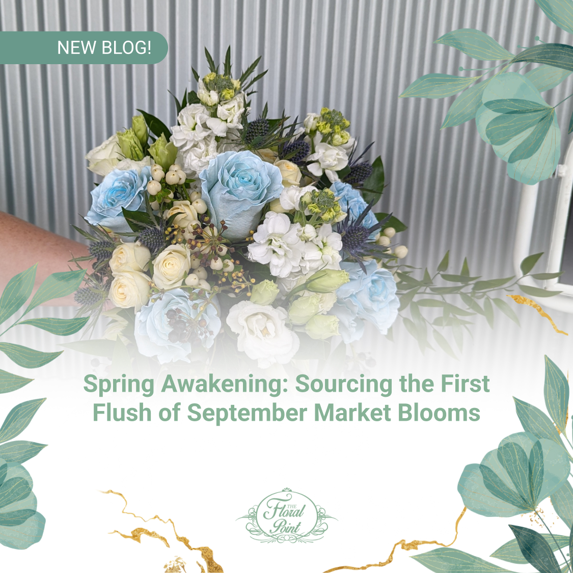 Spring Awakening: Sourcing the First Flush of September Market Blooms